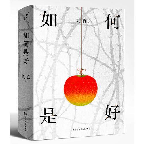 如何是好（精装版）（阎真）