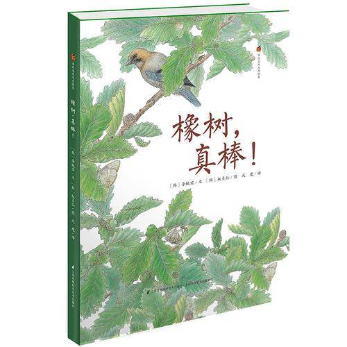 橡树，真棒！