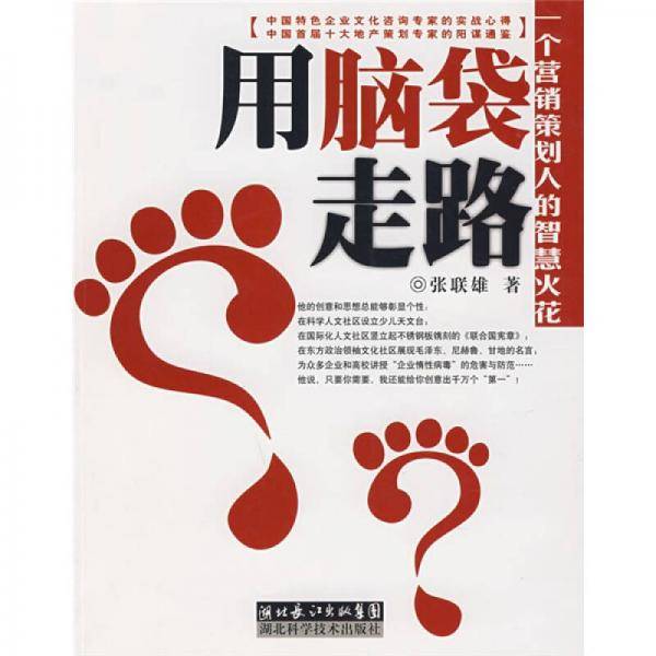 用脑袋走路-一个营销策划人的智慧火花