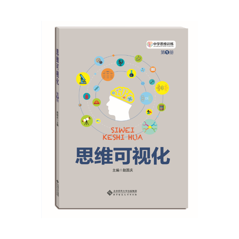 中学思维训练丛书：思维可视化