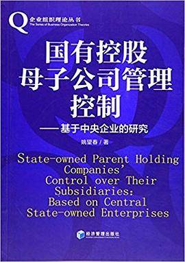 国有控股母子公司管理控制