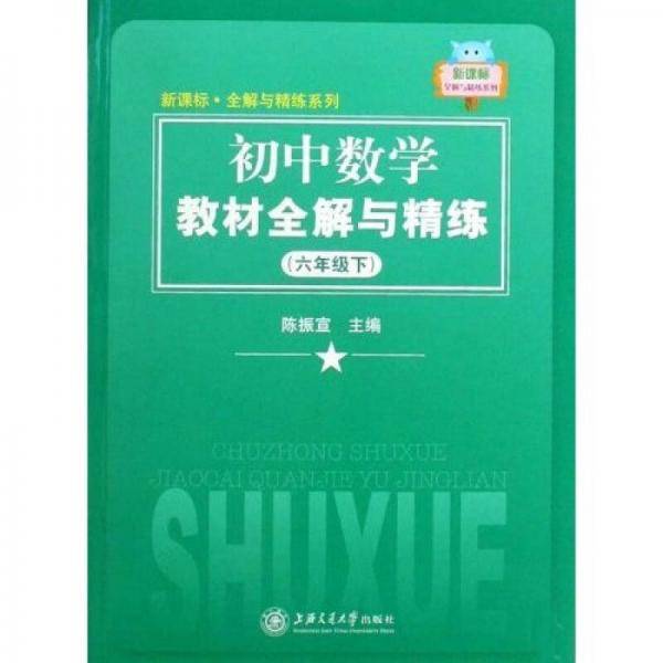 六年级下-初中数学教材全解与精练