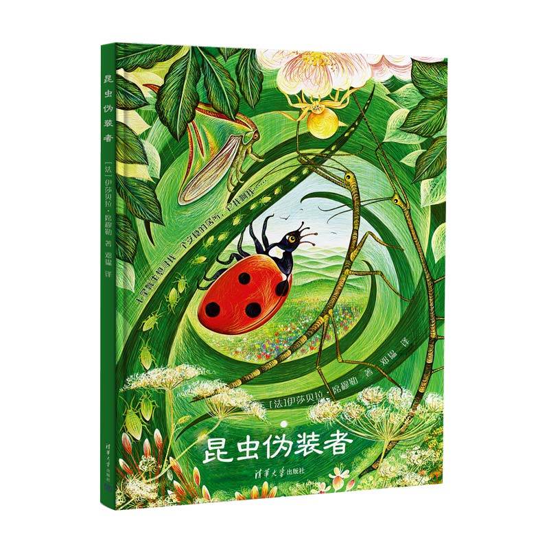 昆虫伪装者（直击心底的找寻安稳居所，有趣的昆虫拟态）