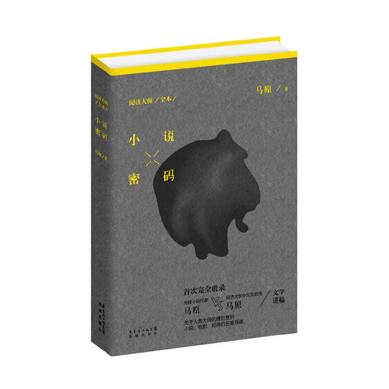 《阅读大师：小说密码》