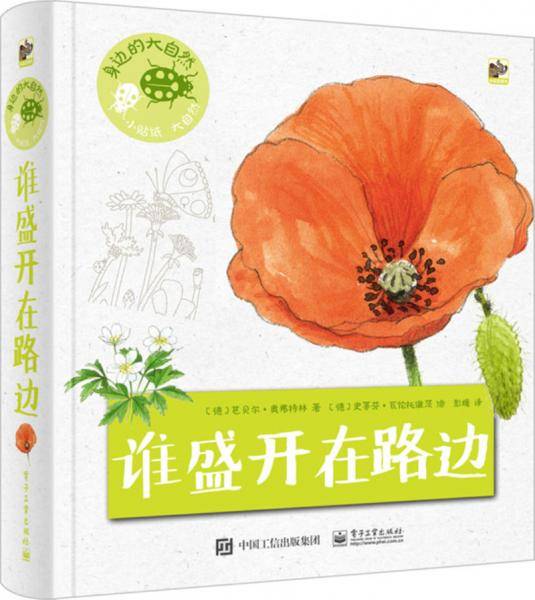 身边的大自然 谁盛开在路边
