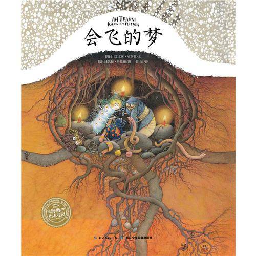 会飞的梦