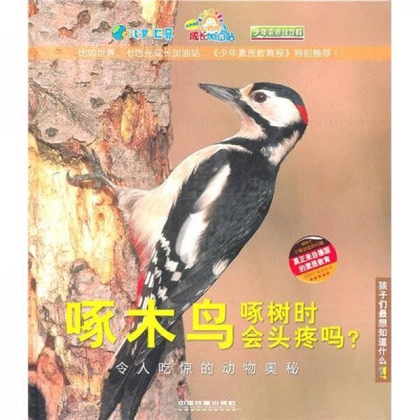 啄木鸟啄树时会头疼吗?