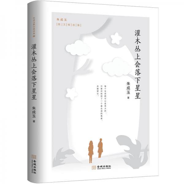 朱成玉散文精选集02：灌木丛上会落下星星