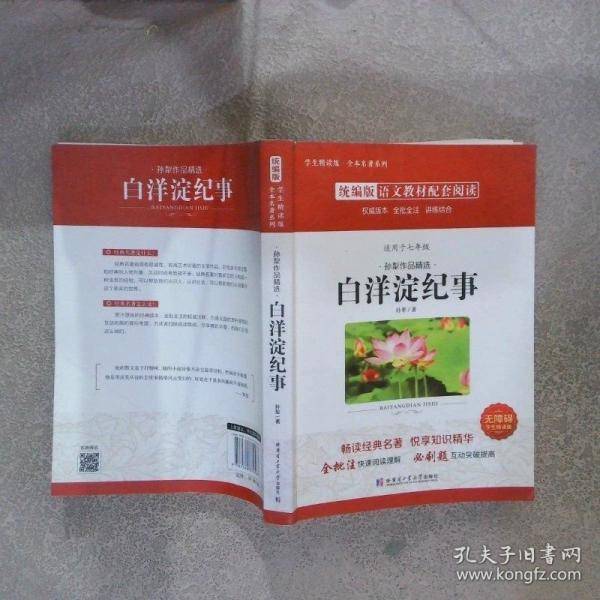 白洋淀纪事
