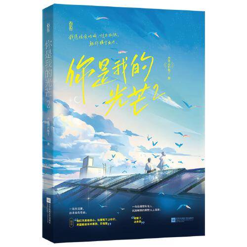 你是我的光芒2