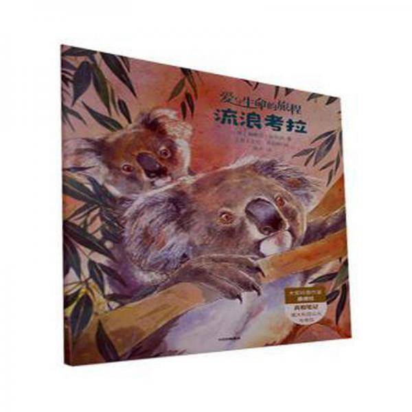 流浪拉 儿童文学 (美)桑德拉·马克尔著
