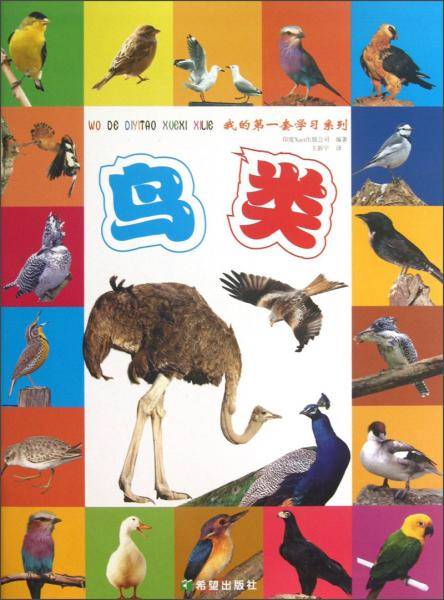鸟类