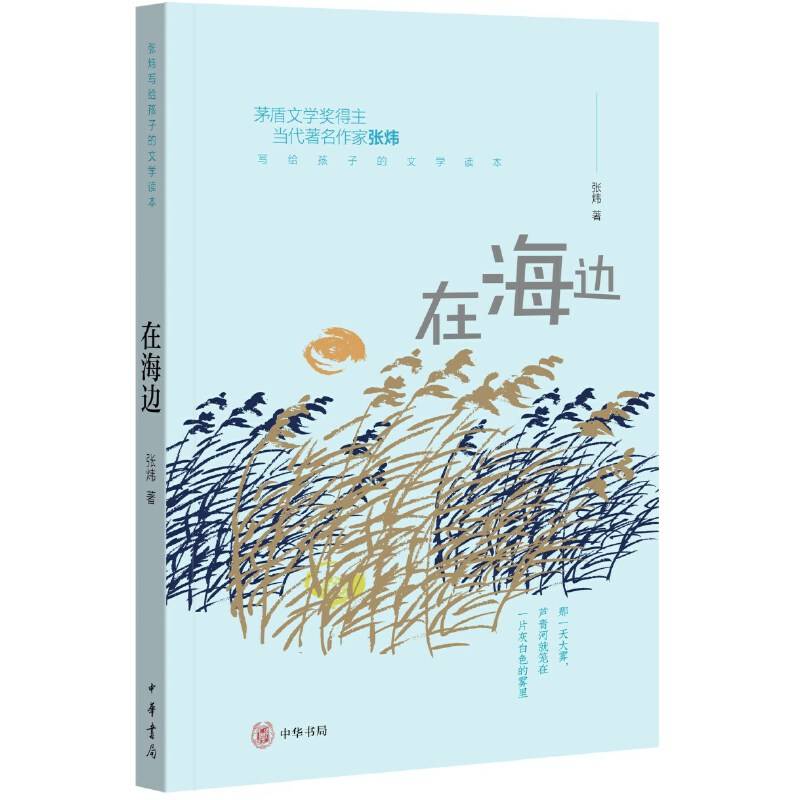 在海边（张炜写给孩子的文学读本）