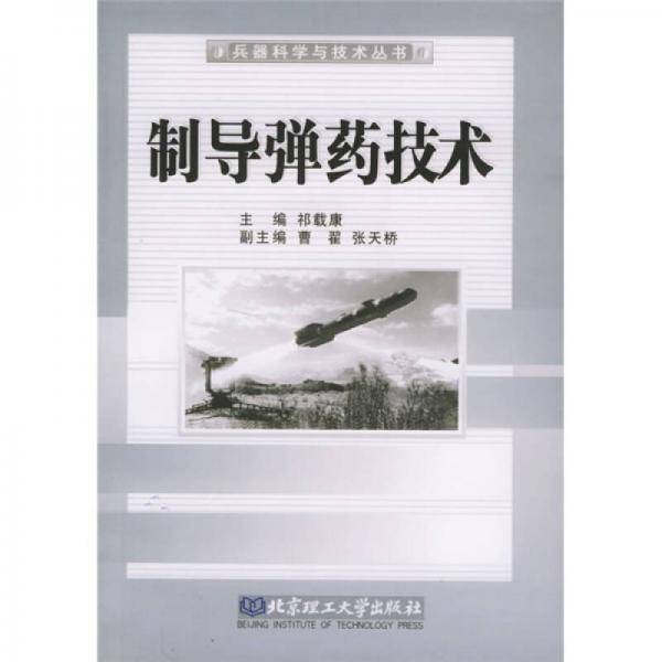 制导弹药技术