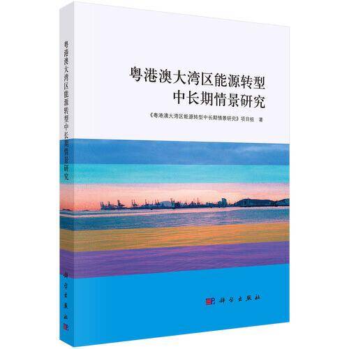 粤港澳大湾区能源转型中长期情景研究