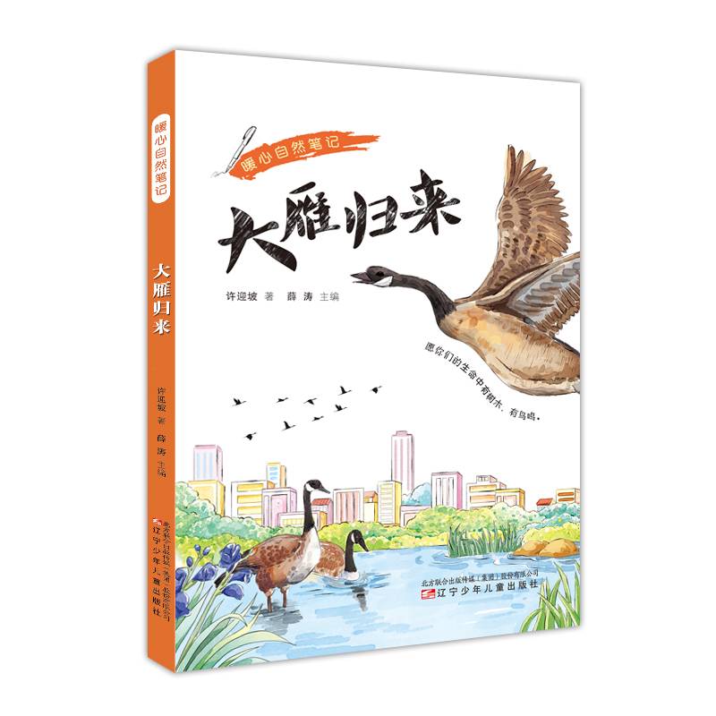 暖心自然笔记：大雁归来（自然笔记热爱自然和谐共生）