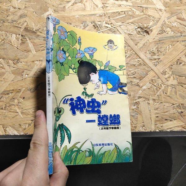 “神虫”——螳螂