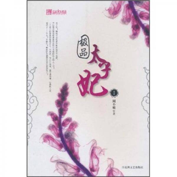 极品太子妃
