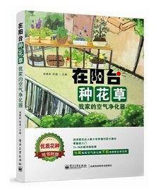 在阳台种花草——我家的空气净化器