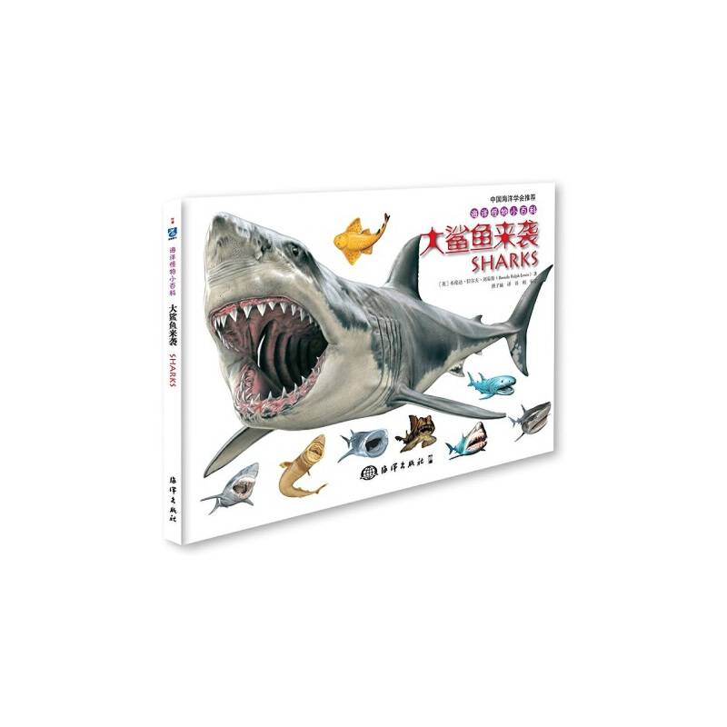 海洋怪物小百科---大鲨鱼来袭