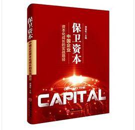 保卫资本：中国企业资本化成长的实践路径