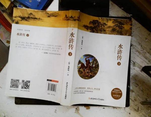 水浒传上下册，2本书