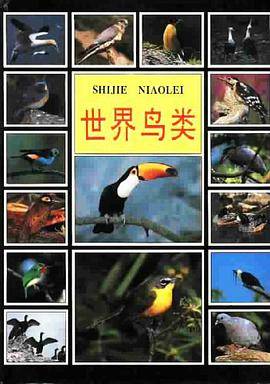 世界鸟类