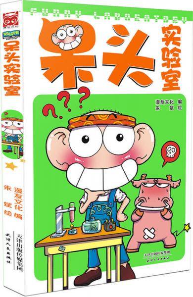呆头实验室