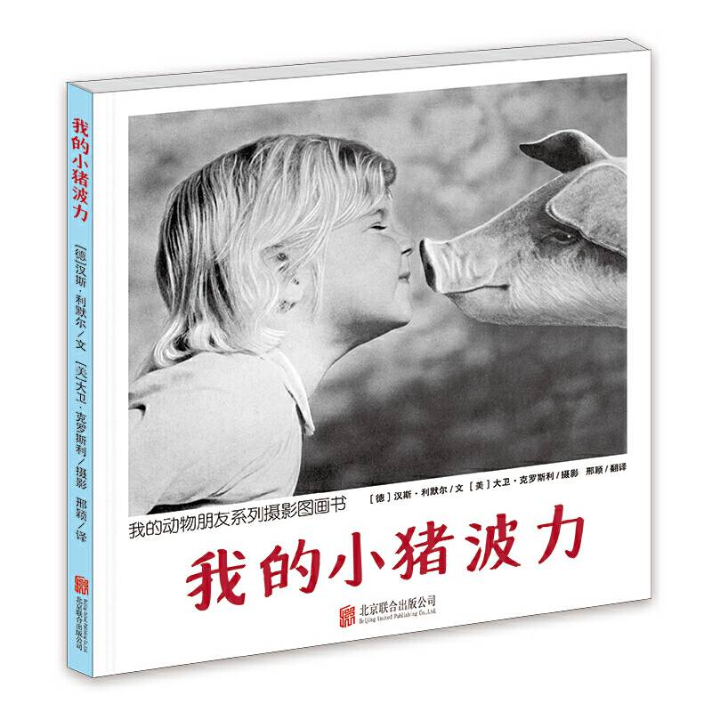 我的小猪波力精装