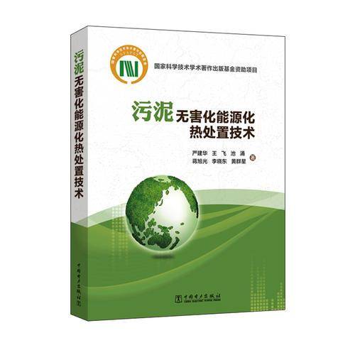 污泥无害化能源化热处置技术