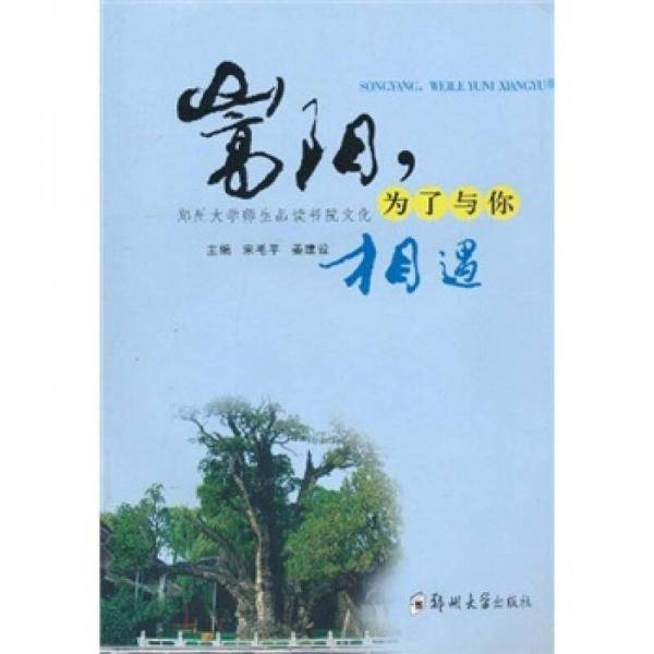 嵩阳，为了与你相遇
