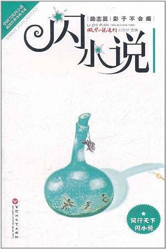 闪小说