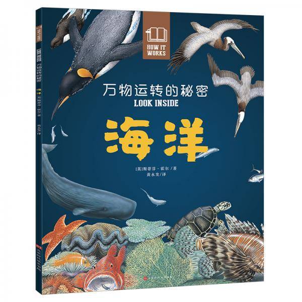 万物运转的秘密：海洋