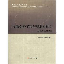 文物保护工程与规划专辑（2）：技术与工程实例