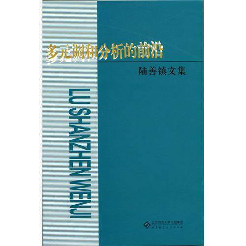 多元调和分析的前沿