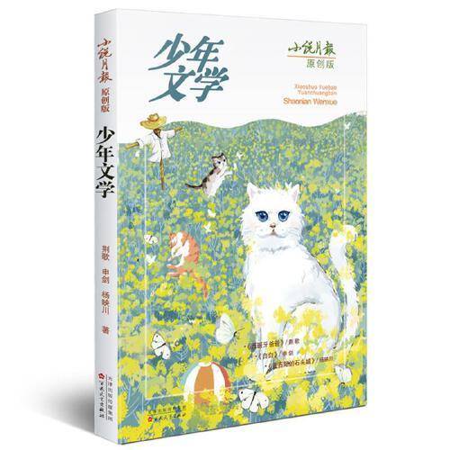小说月报(原创版少年文学)