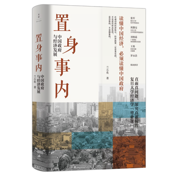 置身事内