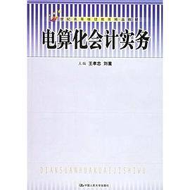 电算化会计实务