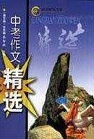 中考作文精选/好学生高效读写大系