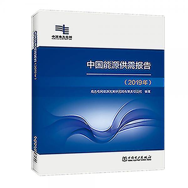 中国能源供需报告（2019年）