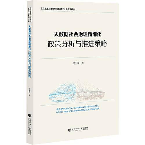 大数据社会治理精细化：政策分析与推进策略