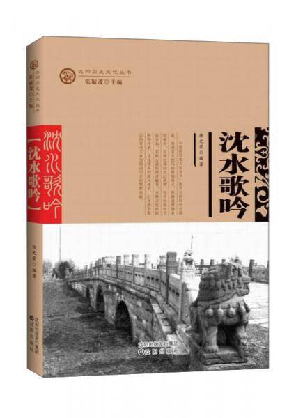 市井风情/沈阳历史文化丛书