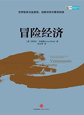 冒险经济