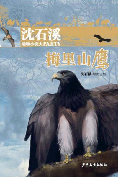 沈石溪动物小说大party：梅里山鹰