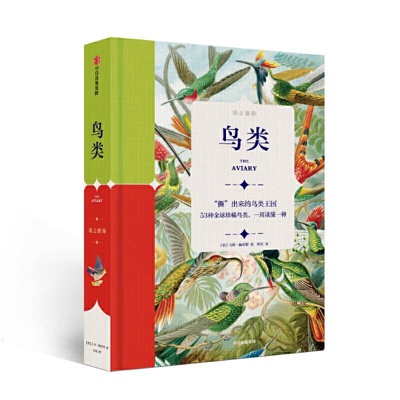 纸上景观：鸟类