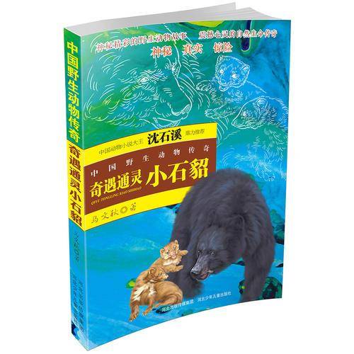 中国野生动物传奇 奇遇通灵小石貂