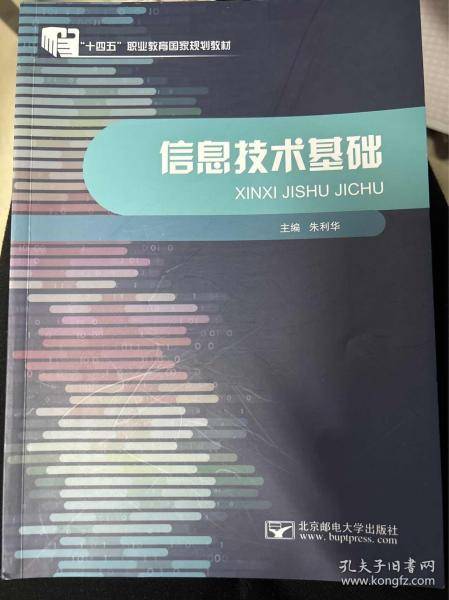 信息技术基础 朱利华