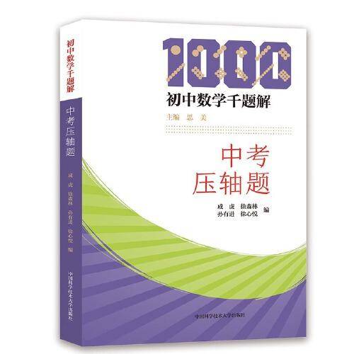 初中数学千题解：中考压轴题