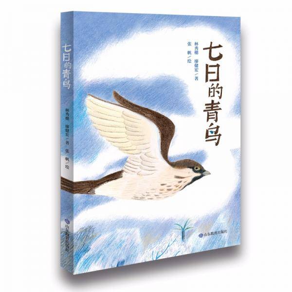七日的青鸟用心寻找幸福的密码