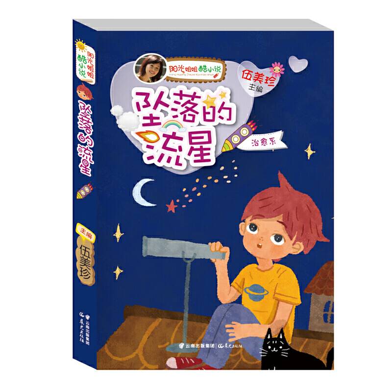 阳光姐姐酷小说――《坠落的流星》